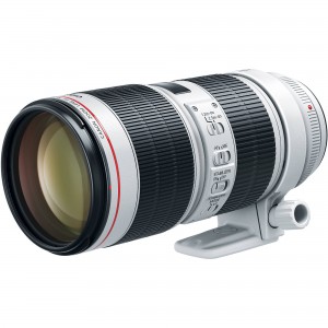 Canon Lens EF 70-200mm f/2.8 L IS III USM